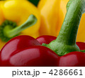 4286661