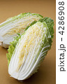 白菜