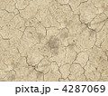 4287069