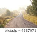 4287071