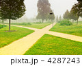 4287243