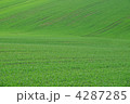 4287285