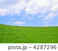 4287296