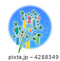 4288349