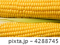 4288745