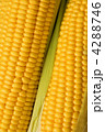 4288746
