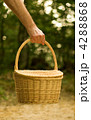 4288868