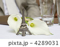 4289031