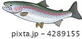 4289155