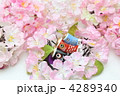 花満開