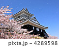 桜吹雪の浜松城