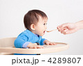 木のスプーンで離乳食を食べる赤ちゃん