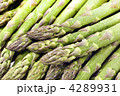 アスパラ