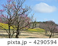 春の公園