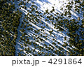 4291864