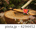 3月　ツバキ・ツバキ科24