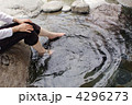 4296273