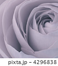 4296838