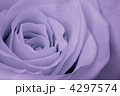 4297574