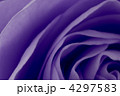 4297583