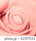 4297591
