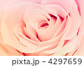 4297659
