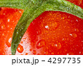 4297735