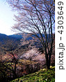 吉野山の春