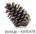 4305978