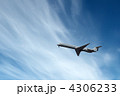 4306233