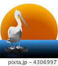 4306997