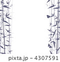 4307591