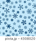 4308020