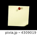 4309019