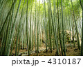 竹林