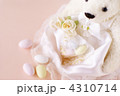 ドラジェ