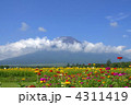 富士山とひまわり畑