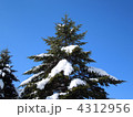 残雪