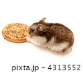 4313552