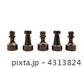 4313824