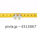 4313867