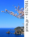 妙見浦と桜