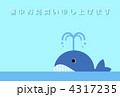 暑中見舞い