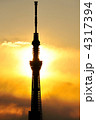 スカイツリーと夕日