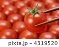 プチトマト