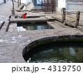 雲南省麗江　世界遺産 麗江古城　白馬龍譚（三眼井）