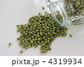 緑豆