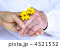 黄色い花を持ったシニアと若い手