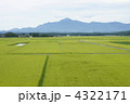 米山と頚城平野