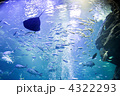 水の中２
